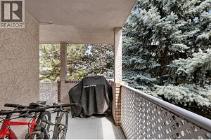 400 Sutton Crescent Unit# 209 - Photo 18