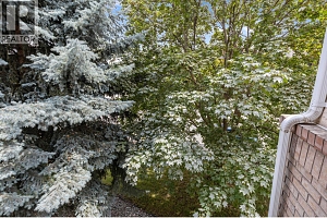 400 Sutton Crescent Unit# 209 - Photo 19