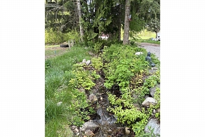 1274 Mountain View Road - Photo 54