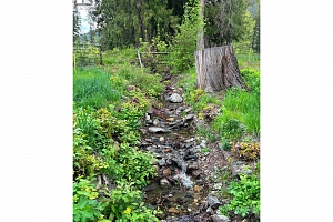 1274 Mountain View Road - Photo 55