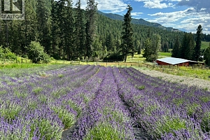 1274 Mountain View Road - Photo 89