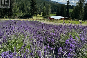 1274 Mountain View Road - Photo 90