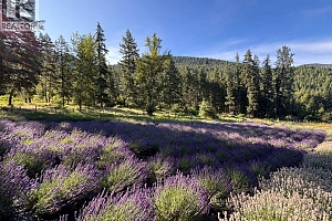 1274 Mountain View Road - Photo 91