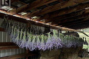 1274 Mountain View Road - Photo 92