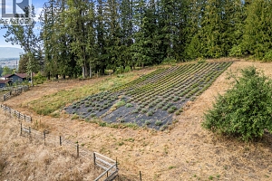 1274 Mountain View Road - Photo 93