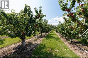 1409 + 1429 Teasdale Road - Photo 50