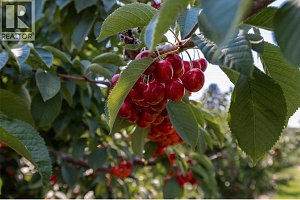 1409 + 1429 Teasdale Road - Photo 52