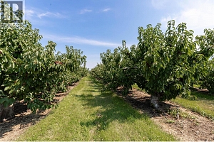 1409 + 1429 Teasdale Road - Photo 53