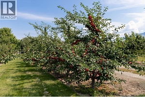 1409 + 1429 Teasdale Road - Photo 56