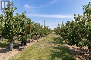 1409 + 1429 Teasdale Road - Photo 61