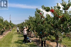 1409 + 1429 Teasdale Road - Photo 64