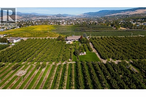 1429 Teasdale Road - Photo 12