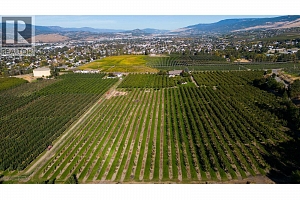 1429 Teasdale Road - Photo 8