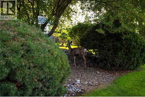 1045 Sutherland Avenue Unit# 115B - Photo 19