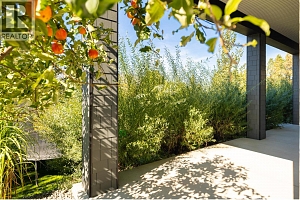 2155 PALY Road - Photo 37