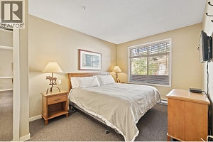 255 Feathertop Way Unit# 202 - Photo 12