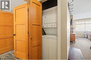 255 Feathertop Way Unit# 202 - Photo 16