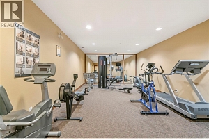 255 Feathertop Way Unit# 202 - Photo 24