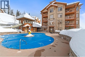 255 Feathertop Way Unit# 202 - Photo 28