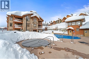 255 Feathertop Way Unit# 202 - Photo 31