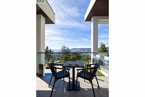 3301 Vineyard View Drive - Photo 57