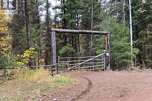 6453 Pinaus Lake Road Lot# 6297 - Photo 2