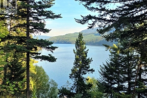 6453 Pinaus Lake Road Lot# 6297 - Photo 31