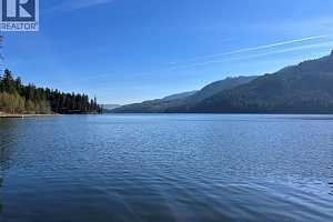 6453 Pinaus Lake Road Lot# 6297 - Photo 61