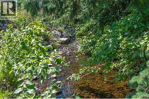 3982 Hitchner Road - Photo 46