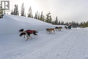 Lot 2 Black Forest Road Lot# 2 - Photo 5