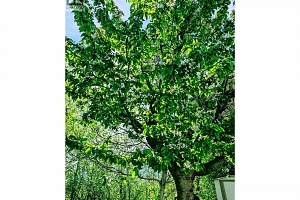 1881 Boucherie Road Unit# 28 - Photo 13