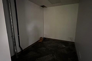 2955 Acland Road Unit# 101 - Photo 7