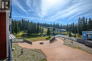 30 Monashee Road Unit# 214 - Photo 20