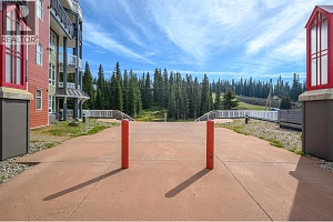 30 Monashee Road Unit# 214 - Photo 24