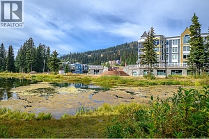 30 Monashee Road Unit# 214 - Photo 28