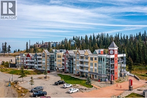 30 Monashee Road Unit# 214 - Photo 29