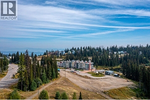 30 Monashee Road Unit# 214 - Photo 30