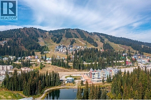 30 Monashee Road Unit# 214 - Photo 33