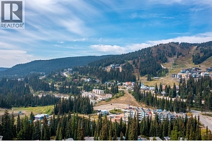 30 Monashee Road Unit# 214 - Photo 34