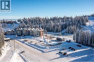 30 Monashee Road Unit# 214 - Photo 38