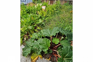 5851 33 Highway Lot# 25 - Photo 17