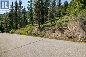 3985 Westside Road Unit# 14 - Photo 4