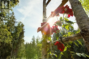 44 Mackenzie Road - Photo 62