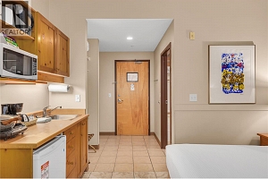 5340 Big White Road Unit# 117 - Photo 6