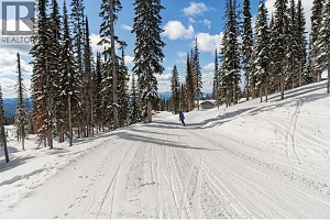 Lot 3 Black Forest Road Lot# 3 - Photo 4