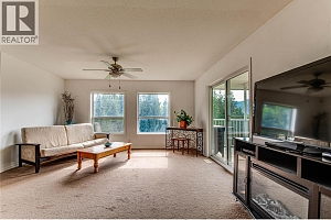 31 Violet Road - Photo 16