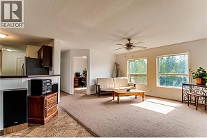 31 Violet Road - Photo 18