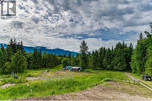 31 Violet Road - Photo 41