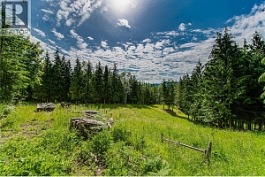 31 Violet Road - Photo 42