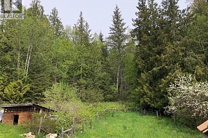 31 Violet Road - Photo 43